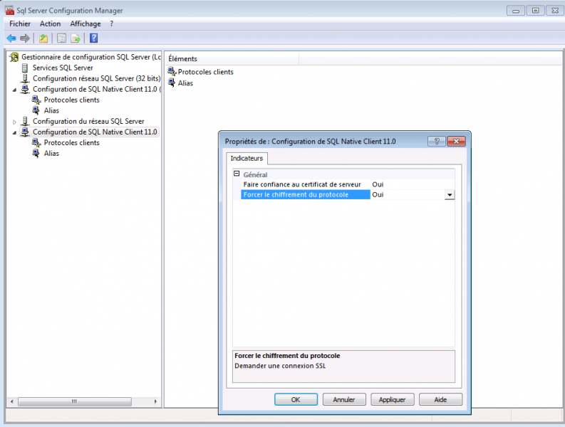 Fichier:Sql server ssl client.png