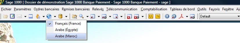 choisir_une_langue.jpg