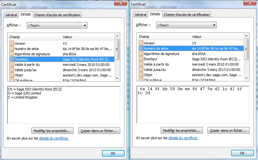 certificate_exemple.png