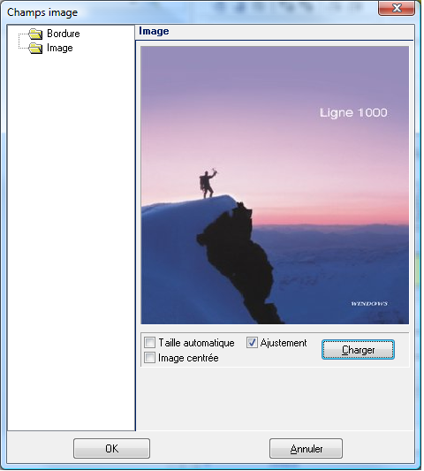 requeteurformatimage.png